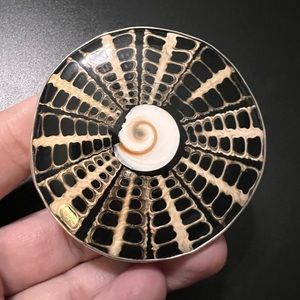 CHARLES ALBERT Sterling silver statement shell ring